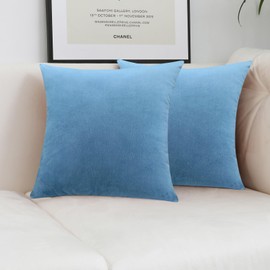 Jeneoo Set of 2 Decorative Throw Pillow Covers Soft Velvet Comfy Solid Couch Cushion Cases for Livingroom Bed Sofa Decor (Sky Blue, 18 x 18 Inches)