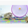 Small EVA Foam Puzzle Floor Play Mat Pets Feeding Box