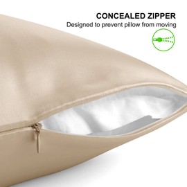 ALASKA BEAR 100% 19 Momme Mulberry Silk Pillowcase, 50x75 cm, Both Sides Silk, 600 Thread Count, Hypoallergenic Pillow Cover for Skin Health with Hidden Zipper (1, Champagne Gold)
