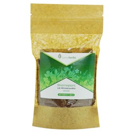 Mimosa Pudica Dried Seeds (250g)