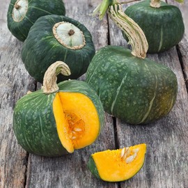 Burgess Buttercup Winter Squash Seeds Used in Soups, Stews and Baked Dishes Good Source of Vitamin A, Potassium and Fiber Garden Outdoor 24Pcs Vegetable Seeds by YEGAOL Garden