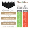 Sandalwood Charcoal Incense Cones 2" TOPLOW - 60 Pack Bulk