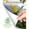 Phomemo US Letter Thermal Printer Paper, Advanced Thermal Printing, Phomemo