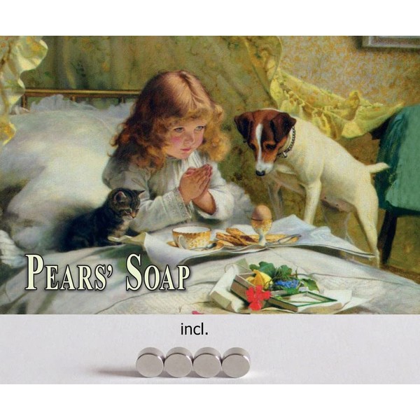 Metal Sign 20 x 30 cm with 4 Magnets Pears