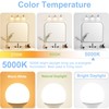 Cotanic 5000K Daylight LED Globe Light Bulbs, E26 Standard Base,
