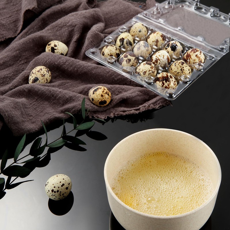 Oungy Pack of 60 Quail Egg Boxes, 12 Grid Quail