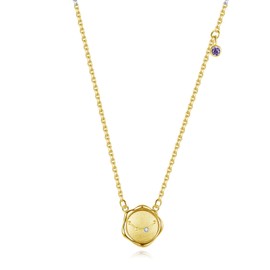 VIKI LYNN 18K Gold Plated Aquarius Disc Necklace Constellation Zodiac Sign Gift Birthstone Necklace for Women