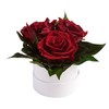 ROSEMARIE SCHULZ Heidelberg Infinity Rose Box White Round Preserved Flowers