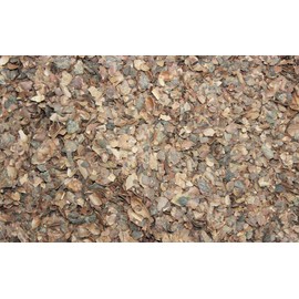 1000Kräuter Blackberry Leaves Cut Blackberry Leaf Tea Medicinal Plant Rubus Fructicosus (500 g)