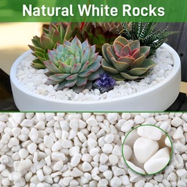 Mulctun 45LB Natural White Rocks, 0.5-1 inch Garden River Rock,Decorative Pebbles Aquarium Gravel for Indoor Plants Garden Landscaping Terrarium Fish Tank and Outdoor Decoration
