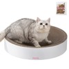 THE LICKER STORE CSR1010I Nelson 20.13" Modern Cardboard Round Bowl