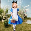 shengo Blue & White Pinafore Dress, World Book Day Girls