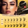 QUEWEL Lash Clusters Kit 320Pcs 60D+80D Mix 12-18mm Cluster Lashes