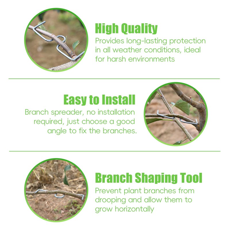 JAMSSOW Pack of 26 8 cm Branch Separators for Fruit