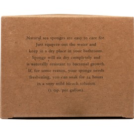 Baudelaire, Sea Sponge Caribbean Wool 4.5 In, 1 Count