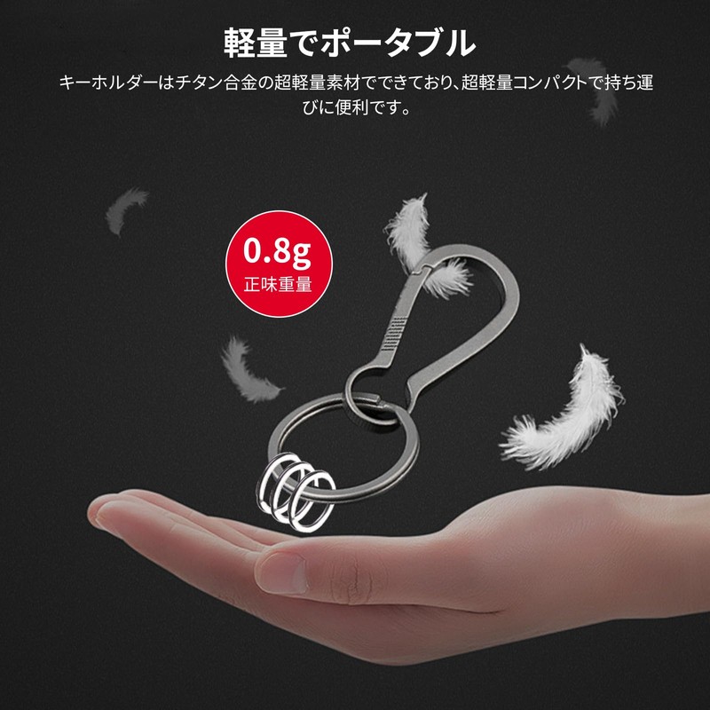 TweezerGuru Titanium Alloy Carabiner Small Key Chain Key Ring Rust