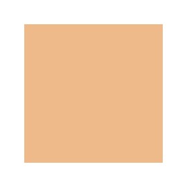 Double wear stay in place matte foundation spf 10 SPICED SAND