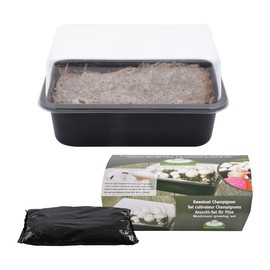 Fallen Fruits B1009 Mushroom Grow Set