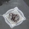 RecDec 30 Pack Disposable Shower Drain Cover 6'' Non-Slip Self-Adhesive