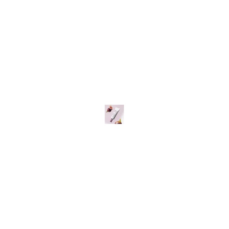 스킨푸드 [탄력광채케어] 무화과 비건 콜라겐 크림 70ml [Elastic Radiance Care]