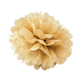 WYZworks Set of 6 - TAN 8" - (6 Pack) Tissue Pom Poms Flower Party Decorations for Weddings, Birthday, Bridal, Baby Showers, Nursery, Décor