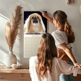 2025 2026 Pekingese Calendar - Dog Breed Monthly Wall Calendar - 12" x 24" Open - Thick No-Bleed Paper - Giftable - Academic Teacher's Planner Calendar Organizing & Planning - Made in USA
