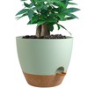 UOUZ 12 inch Large Self Watering Pots, Plastic Planters with