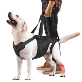 Dog Lift Harness, Dog Sling for Large Medium Dogs' Hind Leg Support Pee-Able. Ideal for Seniors, Disabled, Injured & Arthritic Dogs in ACL Recovery, Secure Harness for Assisted Mobility