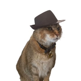 Large Indiana Jones Fedora for your Cat, Indiana Jones hat for Dog or Pet