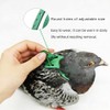 Adjustable Bird Harness & Leash Set for Small Birds,FitsBudgie,Parakeets, Conures,