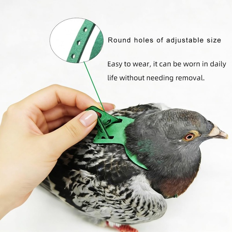 Adjustable Bird Harness & Leash Set for Small Birds,FitsBudgie,Parakeets, Conures,