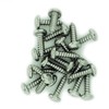 No.10 x 0.975 (4.8mm x 25mm) TX Pan Self-Tapping Screw