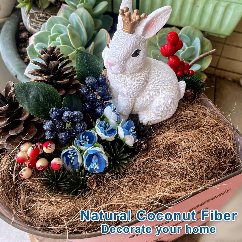 Long Coconut Husk Fiber Mulch Silk for Orchids Clean Coconut