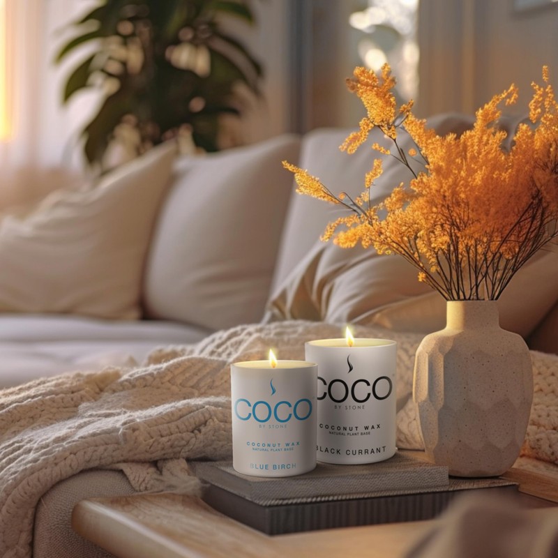 COCO by Stone 11oz Candle, Coconut Apricot Wax Candle for