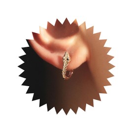 Wendalern Golden Snake Earrings Tiny Huggie Hoop Earrings Small Snake Ear Cuff Simple Snake Stud Earrings Cute Snake Animal Hypoallergenic Earrings Jewellery for Women Girls, Zinc, No Gemstone