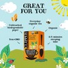Clipper Tea, Orange & Turmeric, Organic Tea with Licorice Root,
