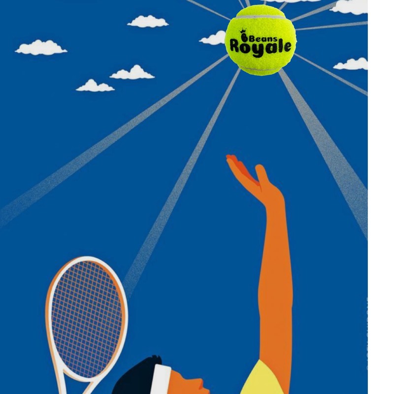 Beans Royale Tennis Balls 4 Pack for All Tennis Balls,