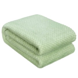 Fuzzy Throw Blanket, Plush Fleece Blankets for Adults, Toddler, Boys and Girls, Warm Soft Blankets and Throws for Bed, Couch, Sofa, Travel and Outdoor, Camping (40Wx60L, M-Pastel Green)