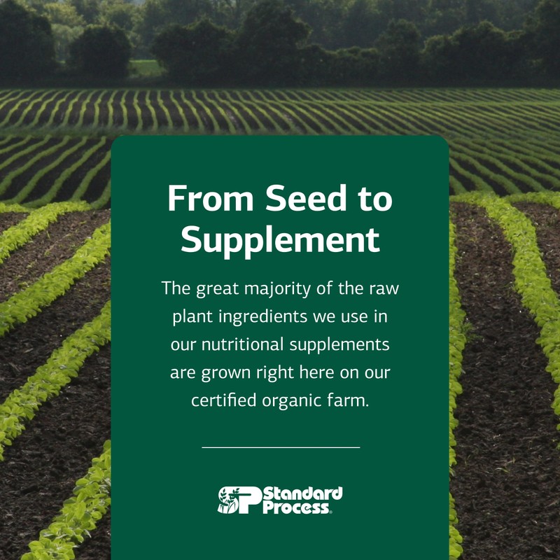 Standard Process Zymex Capsules - Digestive Health Support - Supports