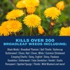 BioAdvanced Weed Killer for Lawns, Concentrate, 32oz