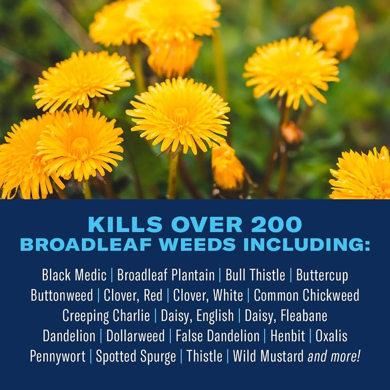 BioAdvanced Weed Killer for Lawns, Concentrate, 32oz
