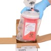 Sharps Recovery System Mailback Sharps Container 0.25 gal. Vertical Entry