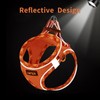 AMTOR Small Dog Harness with Leash Set, No Escape Easy