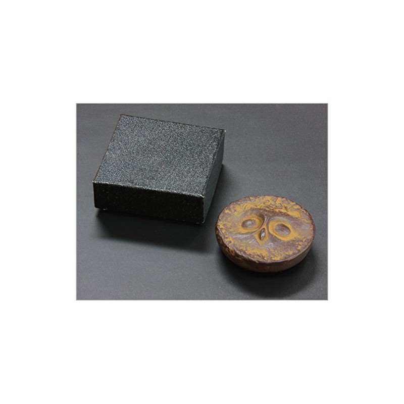 Koubai-do Takaoka Ironware Paperweight, 9.5 oz (270 g), by Chukan
