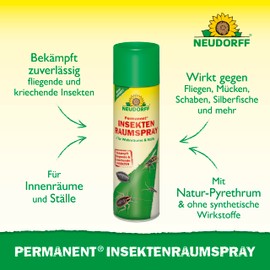Neudorff Permanent InsektenRaumspray – Geruchsloses Insektenspray bekämpft zuverlässig fliegende und kriechende Insekten mit Sofortwirkung, 500 ml