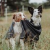 HUNTER Casper Dog Blanket Size XXL Anthracite