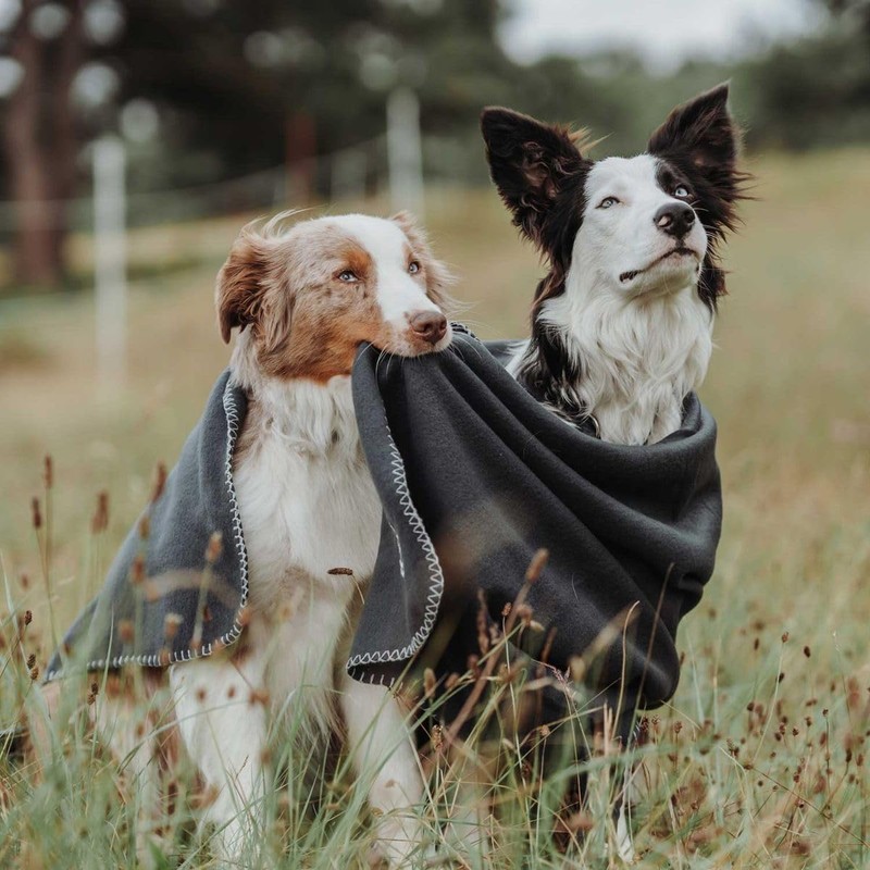 HUNTER Casper Dog Blanket Size XXL Anthracite
