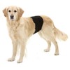 Karlie 49012 Dog Nappies 40 x 10 cm Black