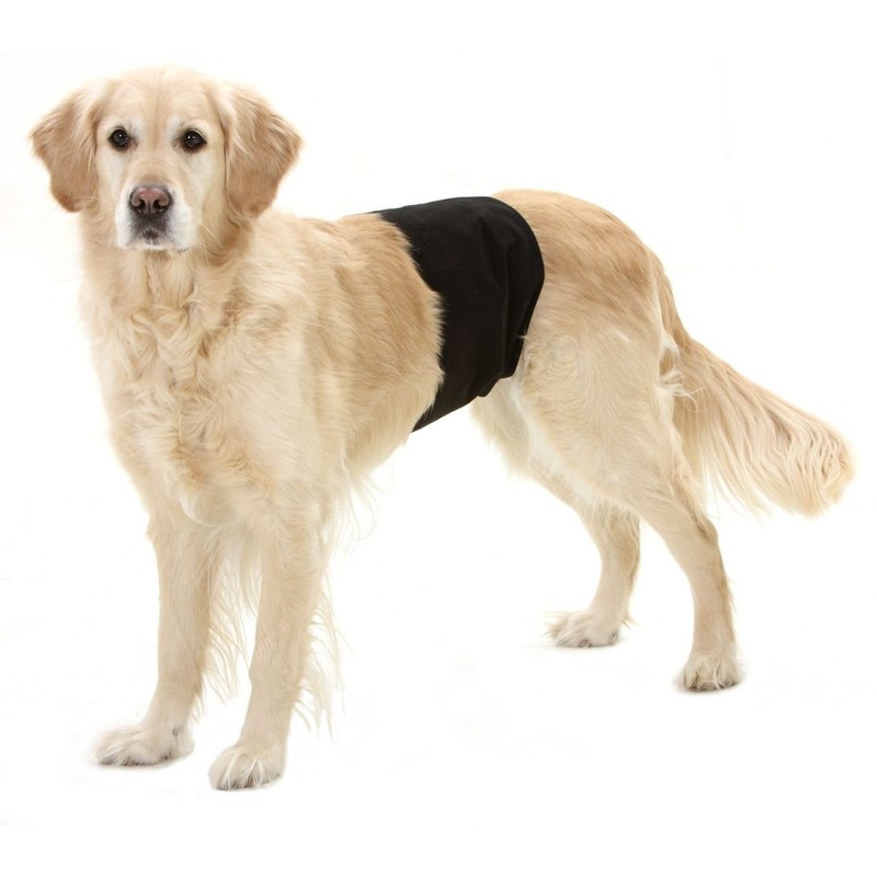 Karlie 49012 Dog Nappies 40 x 10 cm Black