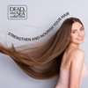 Dead Sea Collection Shampoo and Conditioner Set with Coconut Oil